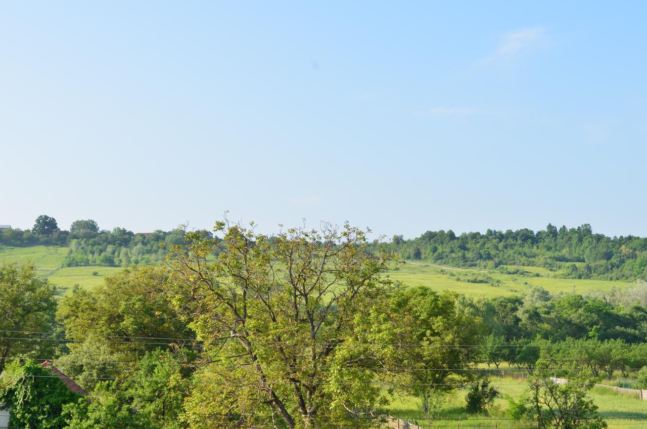 Pensiunea Koruna Poenari Exterior foto